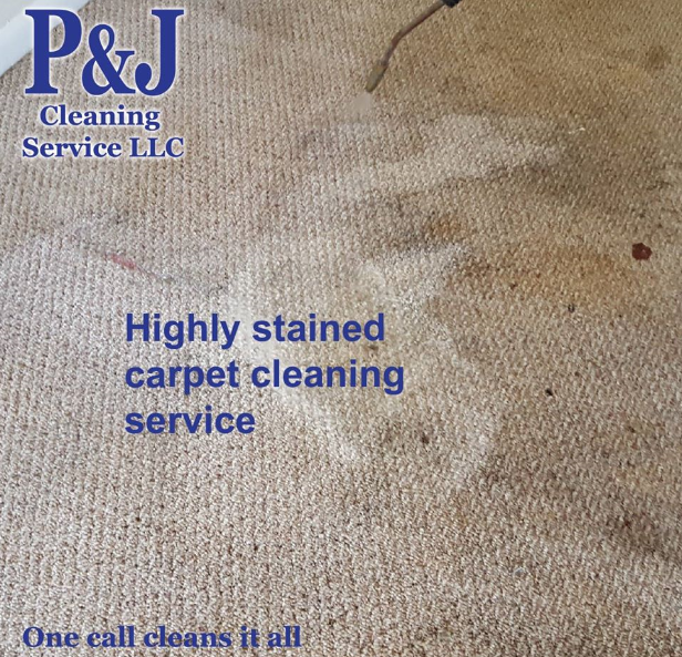 Things You Need To Know Before Booking A Professional Carpet Cleaning